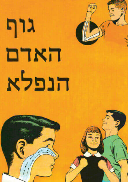 גוף האדם הנפלא